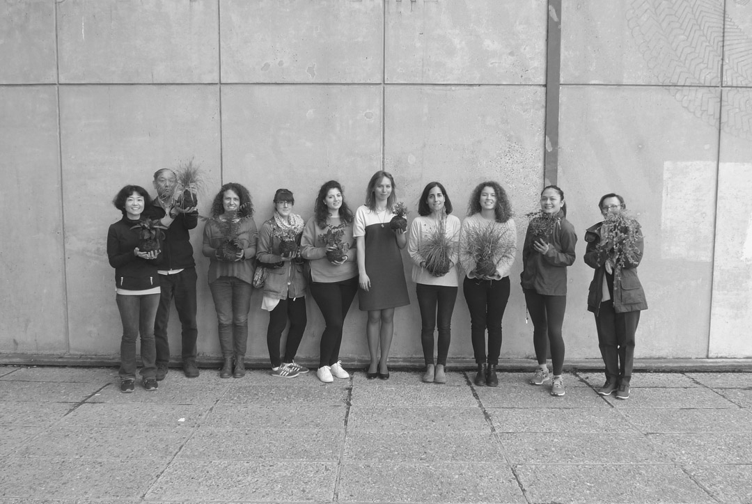 String Gardening Studio Céline Baumann String Gardening Workshop at International University Campus in Paris. Kokedamas. Suspended Garden.