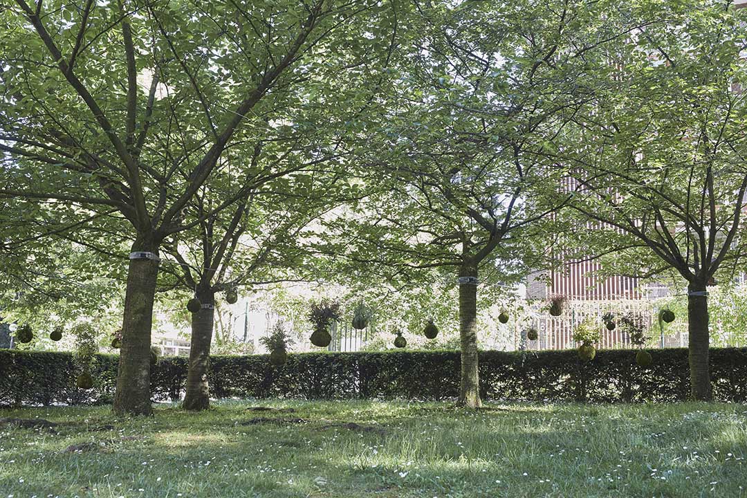 Suspended Garden Suspended garden festival jardins du monde en mouvement l/Oblique cite international universitaire de Paris kokedamas maison du Japon celine baumann landscape architecture garden