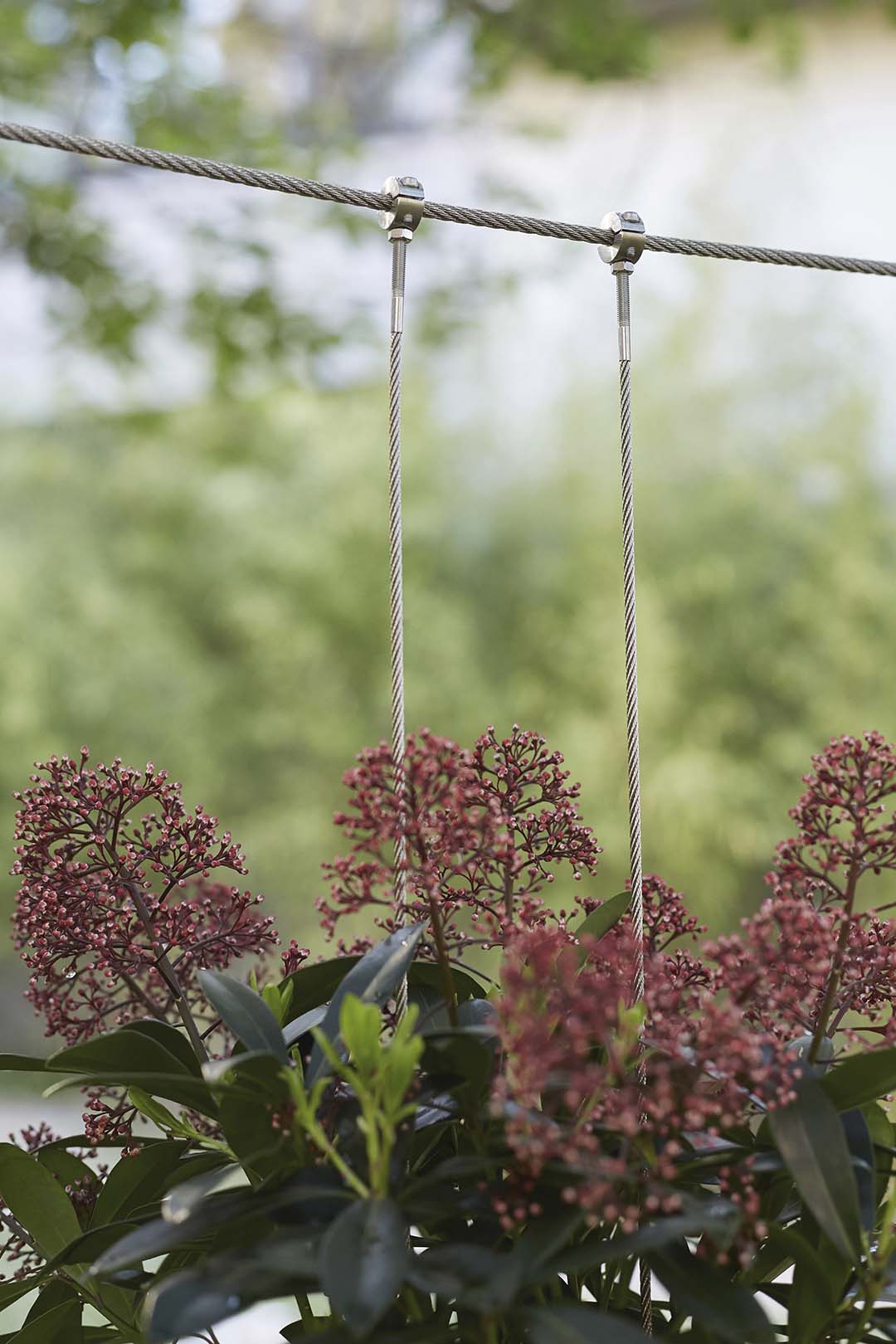 Suspended Garden Suspended garden festival jardins du monde en mouvement l/Oblique cite international universitaire de Paris kokedamas maison du Japon celine baumann landscape architecture garden