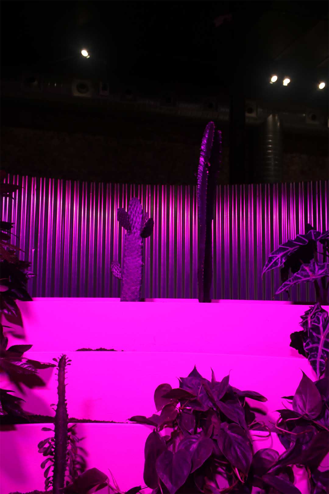 Matadero Doce fábulas urbanas twelve cautionary urban tales Madrid Ethel Baraona Pohl César Reyes Taller de Casquería Naranjo-Etxeberría Superstudio parliament of plants