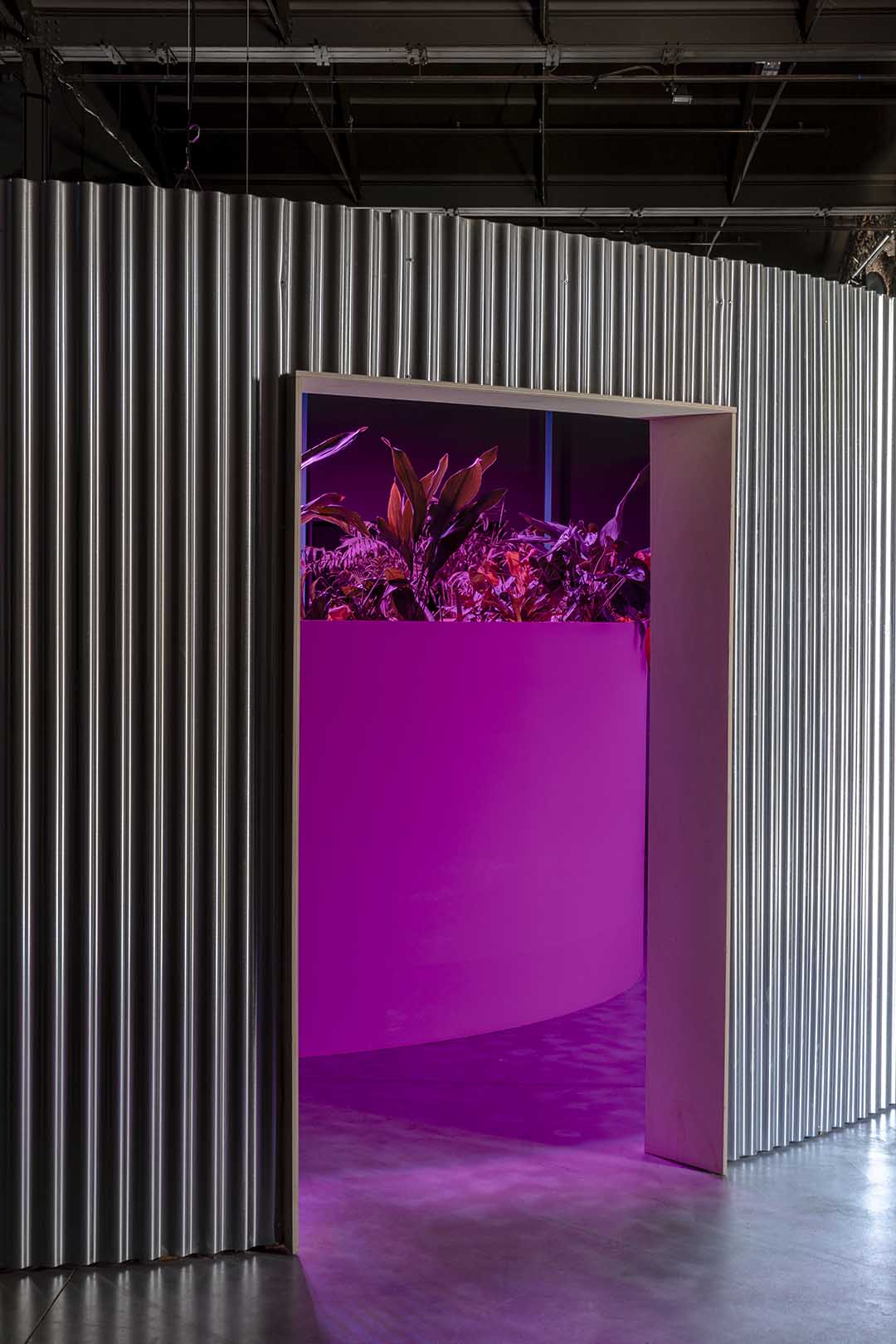 Matadero Doce fábulas urbanas twelve cautionary urban tales Madrid Ethel Baraona Pohl César Reyes Taller de Casquería Naranjo-Etxeberría Superstudio parliament of plants