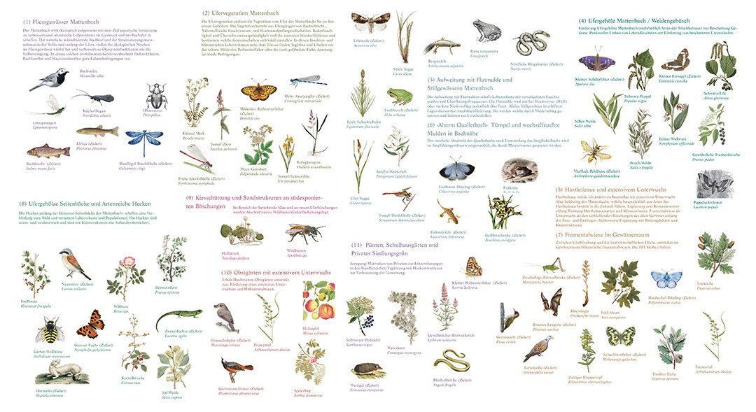 celine baumann_mattenbach_011_1080