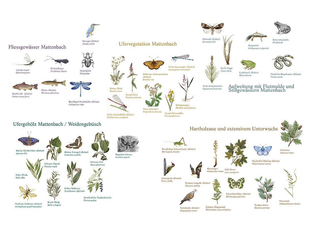 celine baumann_mattenbach_036_1080