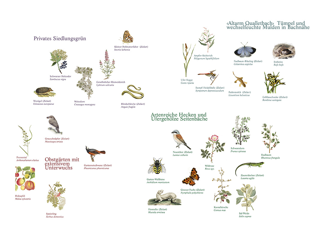 celine baumann_mattenbach_037_1080