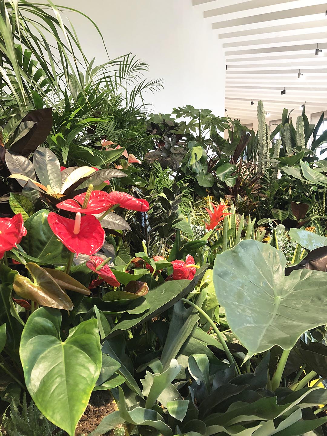 celine baumann_triennale_009_1080